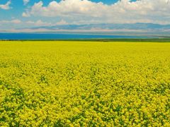 -青海湖国家重点风景名胜区