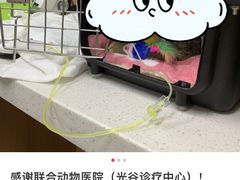 -联合动物医院(光谷诊疗中心)