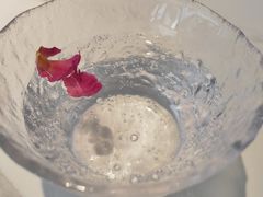 苏打水-茶是一枝花泡茶店