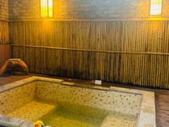 -春晖园度假酒店温泉