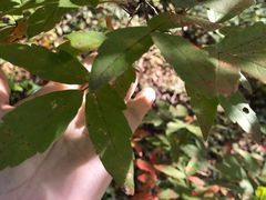 -本溪老边沟风景区