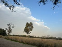 -汉长安城未央宫国家考古遗址公园