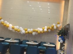 -碧莲盛·不剃发植发