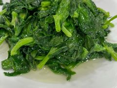 白酒有机豆苗-瑞福园联谊餐室(茂名南路店)