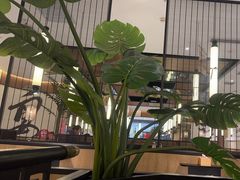 -江边城外烤全鱼(龙德广场店)