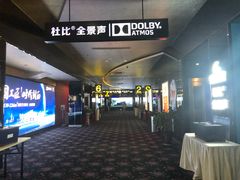 -太平洋影城(紫荆店)