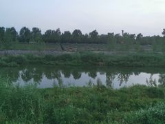 -洨河生态公园