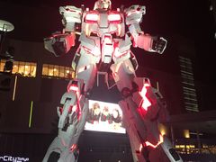 -台场海滨公园船码头