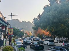 -欣怡茶庄·始于1999(梅家坞店)