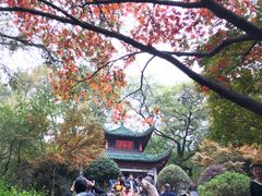 -岳麓山风景名胜区