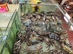 -大茄来海鲜餐厅(亚洲城分行)