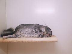 -龙猫仔乐园(惠福东路店)