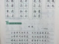 -赵汝飞练字硬笔书法(大钟寺校区)