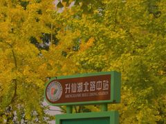 -升仙湖公园