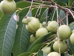 -杭州城北体育公园