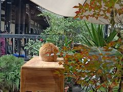 -知亘茶食