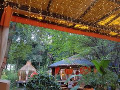 -二荆条·蜀鲜汇城市森林火锅