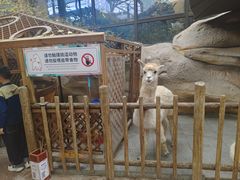 -杭州开元森泊度假乐园