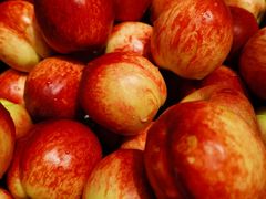 -小鱼小牛·鱼牛干锅·脆鱼火锅(世欧广场店)