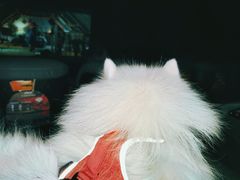 -幸福蓝海国际影城(崇安寺T12店)