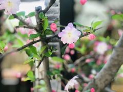 -不贰小院(余姚多元文化创意园店)