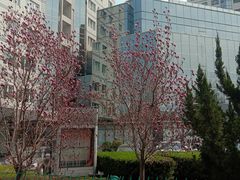 -西门子中国有限公司(阜通东大街店)