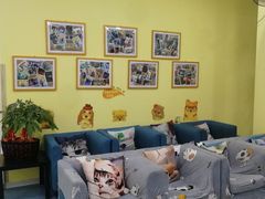 -瑞鹏宠物医院·爱宠堂·骨外专科(西荷分院)