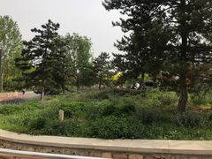 -东郊湿地公园