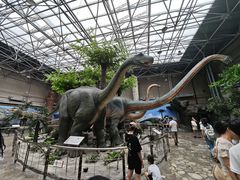 -国家自然博物馆