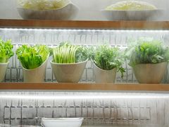 -浩爷羊蝎子火锅(望京店)