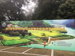 -广州市石门国家森林公园