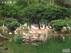 -九龙公园