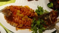 -皇家月府月子中心(沈阳店)