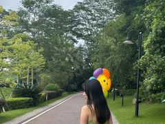 -美的鹭湖森林度假区