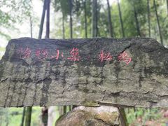-莫干山风景区