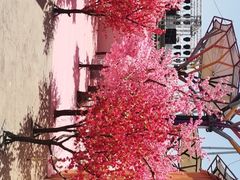 -北京欢乐谷