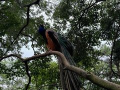 -燕塞湖鸟语林景区