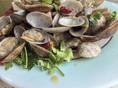 -巧克力渔家.小船海鲜胶东菜(万平口店)