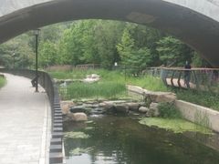 -白水寺森林公园