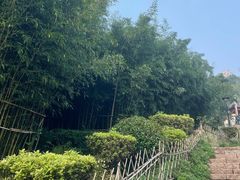 -竹子庵公园