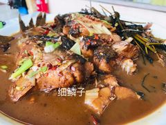 -庆岭迎宾园正宗活鱼馆