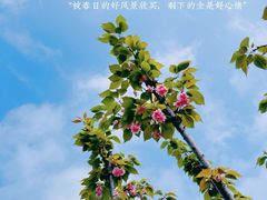 -白马涧龙池景区