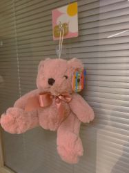 -杭州贝瑞斯美华妇儿医院·早孕·产检·儿科