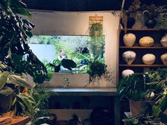 -自由生长植物工作室(深港花卉中心店)