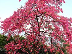 -风云岭森林公园