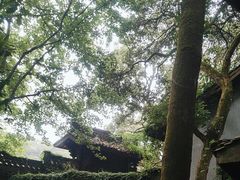 -富春桃源风景区