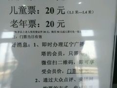 -辽宁电视塔