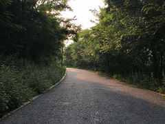 -西尖山公园