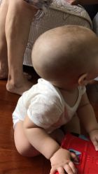 -上海小小宝婴儿理胎发胎毛笔