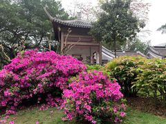 -柳侯公园